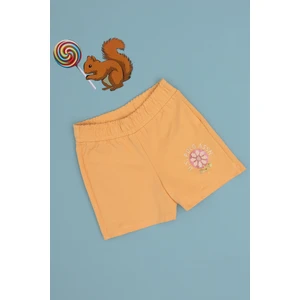 U.s. Polo Assn. Kız Çocuk Kavun Şort (Örme) 50301011-VR202