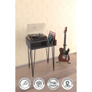 Hediyeler Kapında 60X39.5 cm Black Plak ve Pikap Dolabı