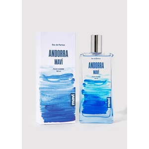 Andorra Erkek Parfüm Edp 100ml 090283-24413