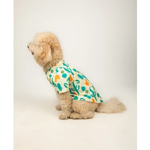 Buf & Buf Cactus Paw - Küçük Orta Irk Özel Baskılı Kedi Köpek Kıyafeti