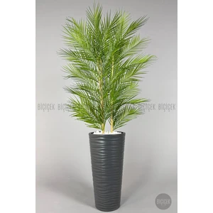 Yapay Areka Ağacı Palmiye Ağacı 33 Yapraklı Bambu Gövdeli Beyaz Kumsal Saksı Salon Çiçeği 150CM