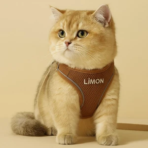 Kişiye Özel Kedi Gezdirme Tasması Airmesh Isimli Kedi Göğüs Tasması Esnek Kedi Tasması