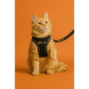 Lusi Doog Isme Özel Güvenlik Amaçlı Kaçış Önleyici Kedi Gezdirme Tasması Isimli Kedi Gezdirme Göğüs Tasma Seti