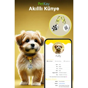 Köpekler Için Akıllı Künye, Nfc Dijital Isimlik Ve Tasma Künyesi Qr Kod Künye Paslanmaz Çelik sarı isimli Köpek Tasması, Köpek isimlik