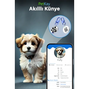 Köpekler Için Akıllı Künye, Nfc Dijital Isimlik Ve Tasma Künyesi Qr Kod Künye Paslanmaz Çelik Mavi isimli Köpek Tasması, Köpek isimlik