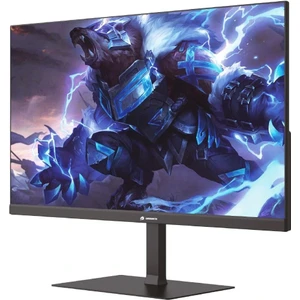 Gamebooster GB-2411FF 23.8" 1 Ms Full Hd IPS Oyuncu Monitörü