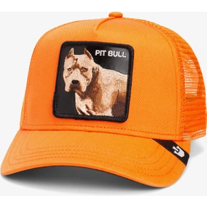 The Dog Pitbull.orange