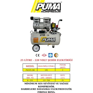 25 Lt Kompresör (Yağsız)