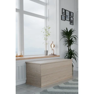 Pratik ve Şık Kapaklı Sandık | Geniş İç Hacimli Çok Amaçlı Depolama Kutusu |Salon, Çocuk Odası ve Yatak Odası İçin Modern Tasarımlı Kapaklı Sandık 100x40 cm