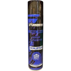 Geniş Alan Koku Giderici Sprey 600ML