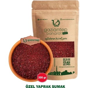 Gaziantep Baharat Sumak 200 gr – Doğal ve Taze, Geleneksel Tatlar, Yemeklere Ferah Lezzet