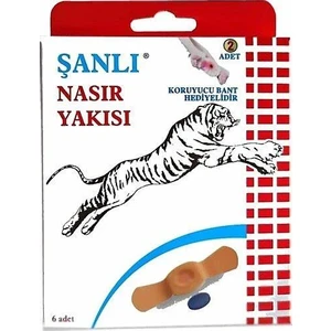 N Bandı Nasır