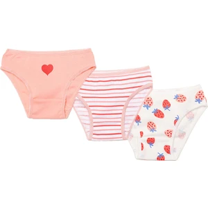 Hellobaby Kız Bebek 3lü Slip Külot Kız Bebek