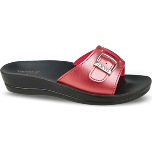 Kadın Terlik Mınerva-6 (35-40)