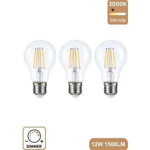 A60 Şeffaf 12W 3000K E27 Günışığı Dimmerli LED Ampul ERD-304