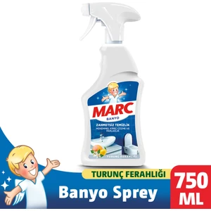 Banyo Temizleyici Kireç Sökücü Sprey 750 ml