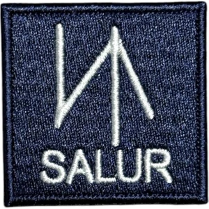 Ex Patch Salur Türk Oğuz Boyu Tamgası Peç Patch - 5x5 Cm
