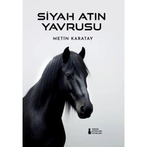 Siyah Atın Yavrusu
