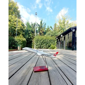 Boeing 787 1:150 Metal Uçak Maket