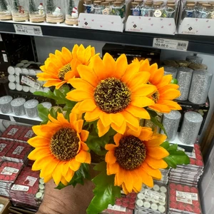 5 Dallı Ayçiçeği Demet Küçük ( Güne Bakan )