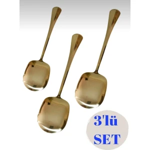 3 Adet Gold Paslanmaz Çelik Servis Kaşık 21 cm Sunum Kaşığı