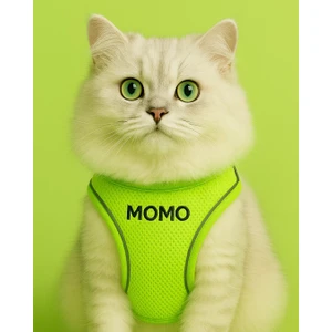 Lusi Doog Kişiye Özel Kedi Gezdirme Tasması Airmesh Isimli Kedi Göğüs Tasması Esnek Kedi Tasması