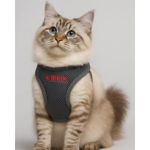 Kişiye Özel Kedi Gezdirme Tasması Airmesh Isimli Kedi Göğüs Tasması Esnek Kedi Tasması