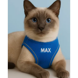 Kişiye Özel Kedi Gezdirme Tasması Airmesh Isimli Kedi Göğüs Tasması Esnek Kedi Tasması