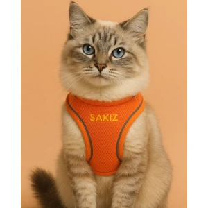 Kişiye Özel Kedi Gezdirme Tasması Airmesh Isimli Kedi Göğüs Tasması Esnek Kedi Tasması