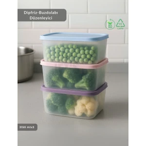 3'lü Dipfriz Saklama Kabı - No Frost Silikon Kapaklı | Derin Dondurucu Düzenleyici - Bpa Free - 3150 ml