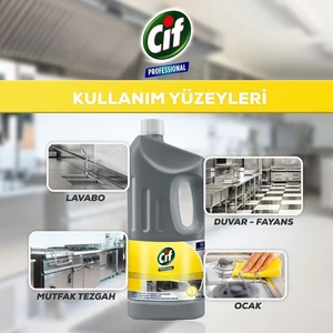 Professional Çok Amaçlı Krem Temizleyici 1, 9 Lt 3ADET