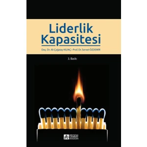 Pegem Akademi Yayıncılık Liderlik Kapasitesi