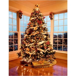 Premium 250 cm Yılbaşı Çam Ağacı | Luxury Series, 1620 Dallı, Yoğun ve Doğal Görünümlü | Ev, Ofis ve Mağazalar İçin Yeni Yıl Ruhunu Taşıyan Premium Kaliteli Yılbaşı Ağacı