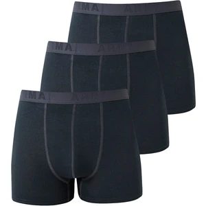 Arma Yıldız Erkek Füme Likralı 3'lü Boxer
