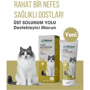 Lysine Kedi Üst Solunumm Yolu Destekleyici Macun - Kedi Maltı