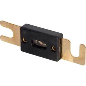 Yüksek Akım Anl Güç Sigortası 300A