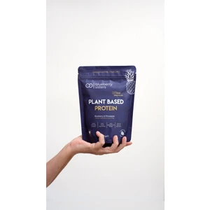 Blueberry Sisters Yabanmersini, Ananaslı Bitkisel Protein 250 gr