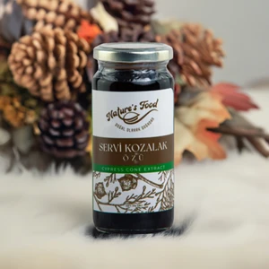 Nature's Food Servi Kozalak Özü 315 gr