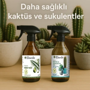 Kaktüs-Sukulent Bitki Besini ve Neem Yağı Ikili Bakım Seti