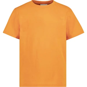 Brz Kids Basic Kız Çocuk T-Shirt Hardal
