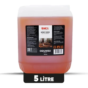 Odunsu Oto Kokusu 5lt (Parfüm)