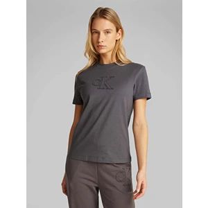 Calvin Klein Ck Applıque Regular Tee