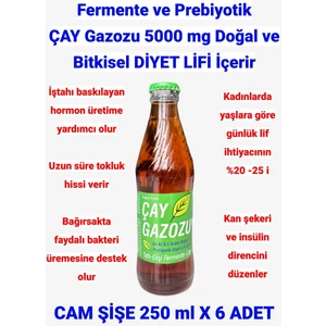 Çay Gazozu - Cam Şişe 250 ml x 6 Adet
