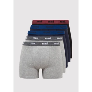 5li Basic Boxer 0910618-900
