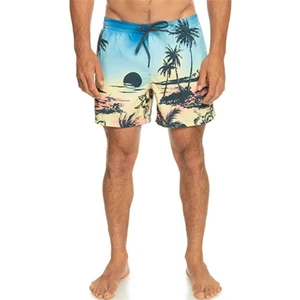 QUIKSILVER PARADISE 15 M JAMV EQYJV03999-YFB6 ERKEK Mavi Şort