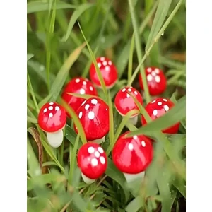 Yapay Mantar 30 Adet Mini Teraryum Malzemesi Telli Kırmızı Mantarlar Dekoratif Saksı Süsleri