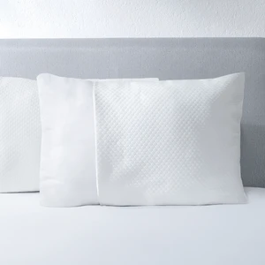 Eco Dormy 2'li Sıvı Geçirmez Koruyucu Yastık Alezi