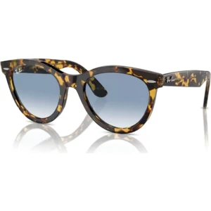 Rb 2241 Wayfarer Way 1332/3F 54