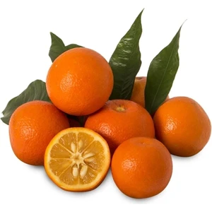 Yeni Sezon Turunç 1 kg Portakallı