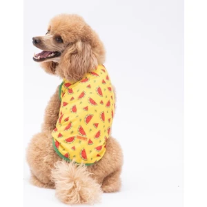 Watermelon Kedi Köpek Tişörtü - Kedi Köpek Kıyafeti